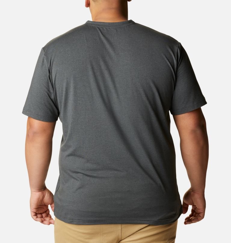 Men's Columbia Tech Trail Short Sleeve Henley T Shirts Dark Grey | Plus Size CA-F4168